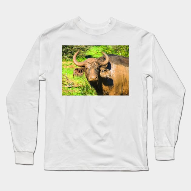 African Wildlife Photography Muddy Buffalo Long Sleeve T-Shirt by PathblazerStudios